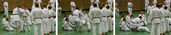 training at the Littledown Centre, Bournemouth during the summer 2009 grading weekend